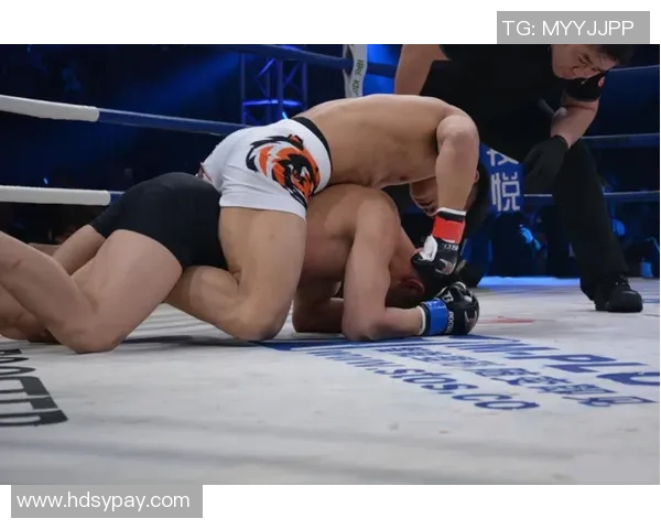 杨建平与鬼肘的巅峰对决谁能在搏击赛场上笑到最后